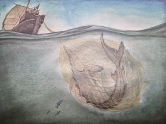 illustratie van walvis in een net